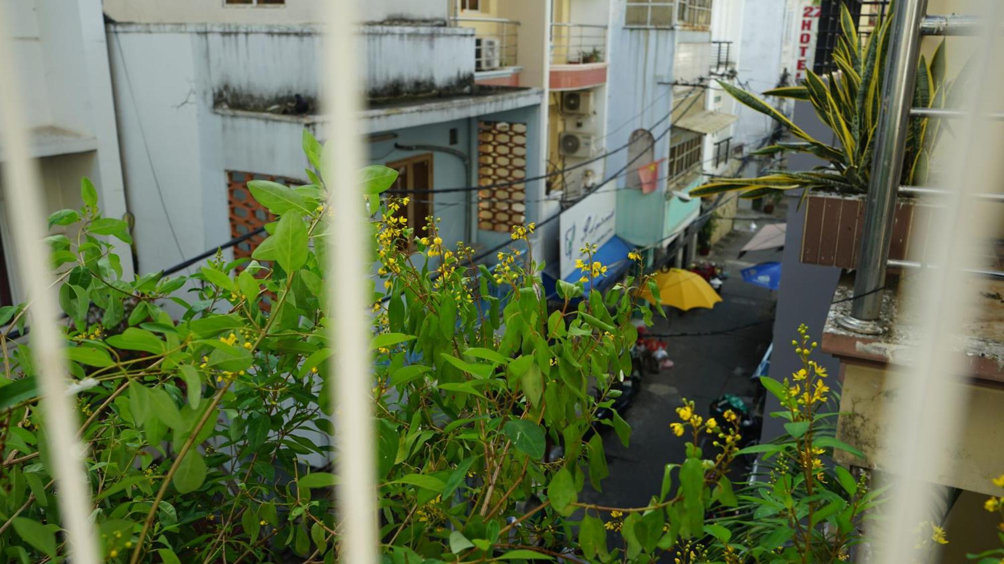 Maiam Homestay Ho Chi Minh City Bagian luar foto